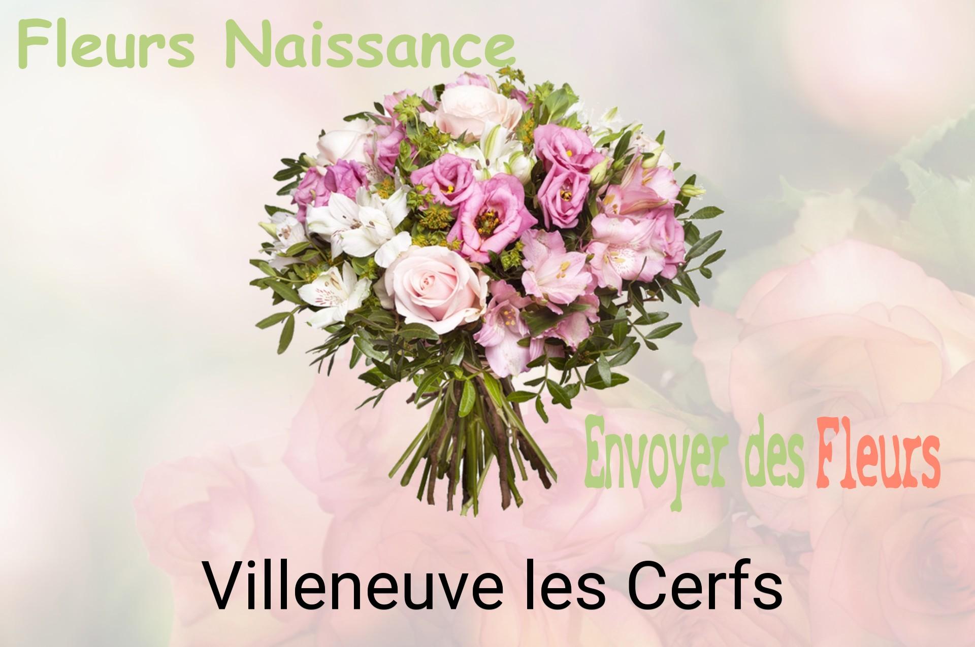 Bouquet de fleurs de naissance livré à Villeneuve-les-Cerfs