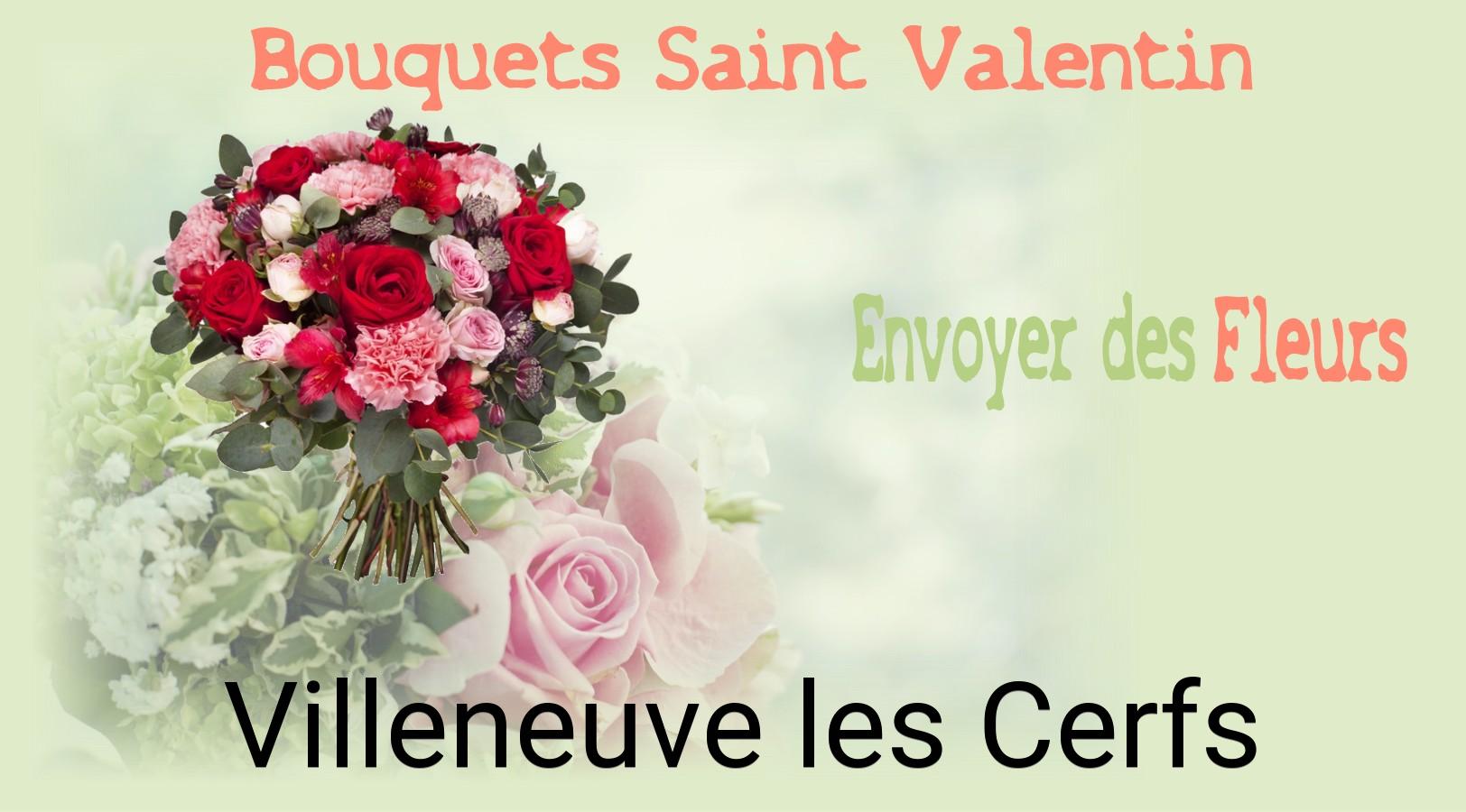 Roses de Saint-Valentin livrées à Villeneuve-les-Cerfs