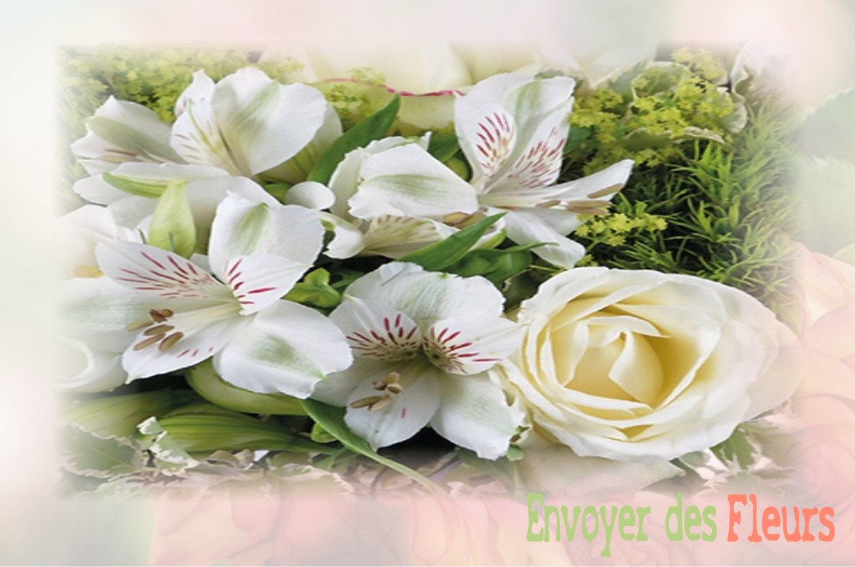 envoyer des fleurs à à VILLENEUVE-LES-CERFS