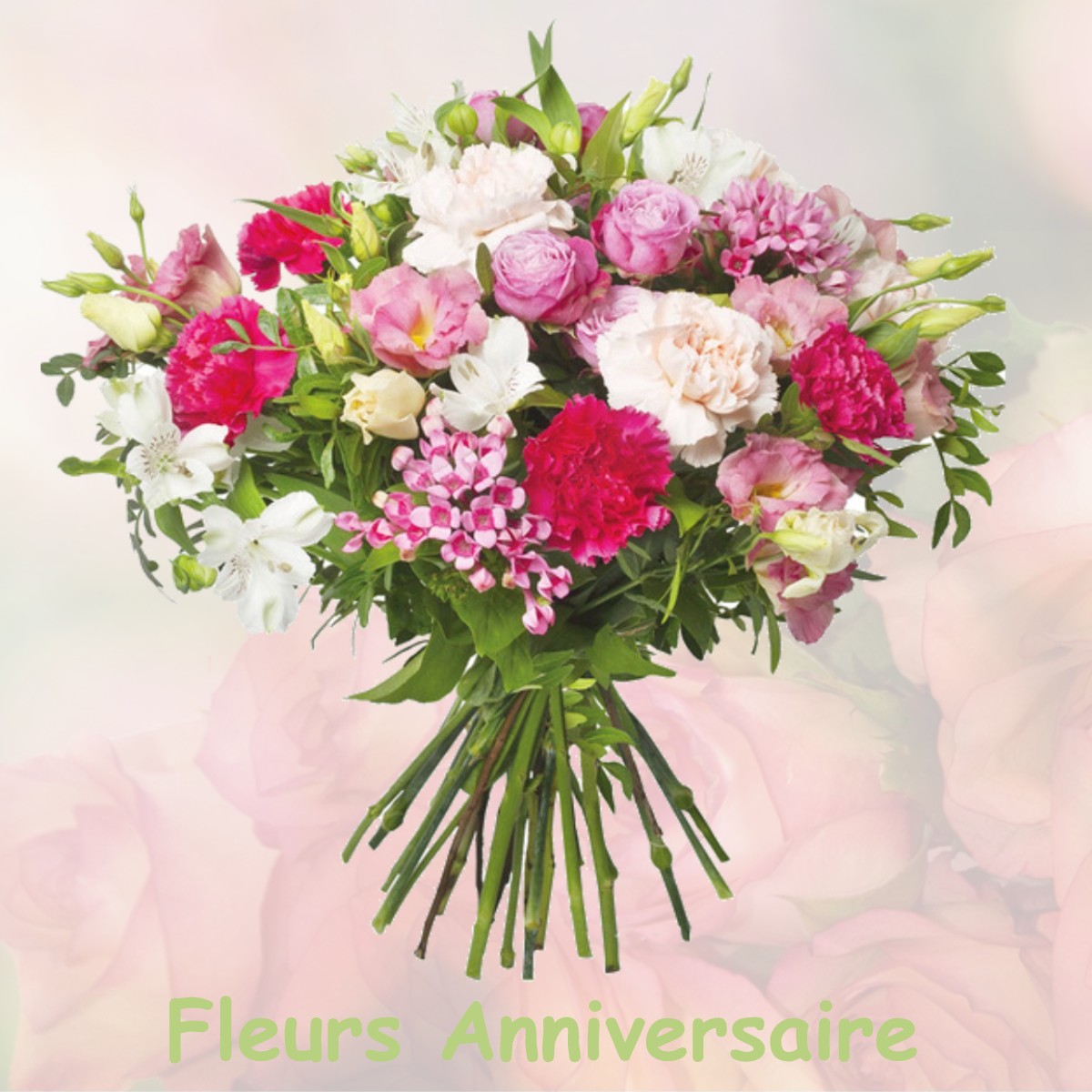 fleurs anniversaire VILLENEUVE-LES-CERFS