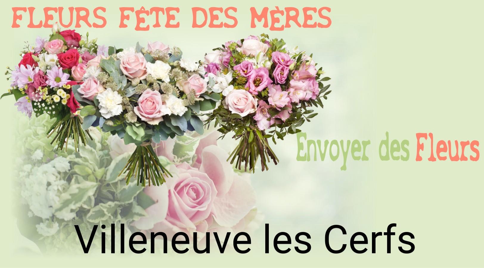 Bouquet de Fête des Mères livré à Villeneuve-les-Cerfs